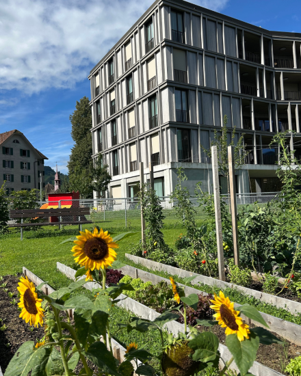 Therapeutische Dienstleistungen